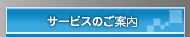 �T�[�r�X�̂��ē�